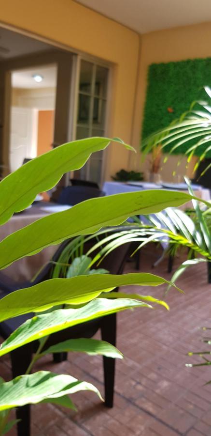 Mh Boutique Hotel Сан Педро Сула Екстериор снимка